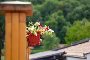 Fotograf dr. Sergej Zabijako, +382 68 129392,
Portfolio: www.photosergey.me
Instagram: https://www.instagram.com/sergej_zabijako_photographerYouTube: https://www.youtube.com/c/PromoMontenegro
#Montenegro #CrnaGora #photoSergejZabijako #PromoMontenegro #Черногория
© photography Sergej Zabijako, © Promo-Montenegro, 2020